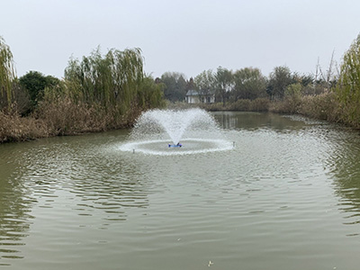 安徽喷泉曝气机助力公园湖水治理